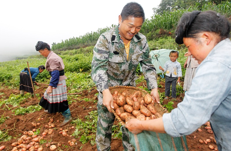 省级机关派驻楚雄州武定县插甸乡的扶贫工作队员与少数民族贫困群众同劳动