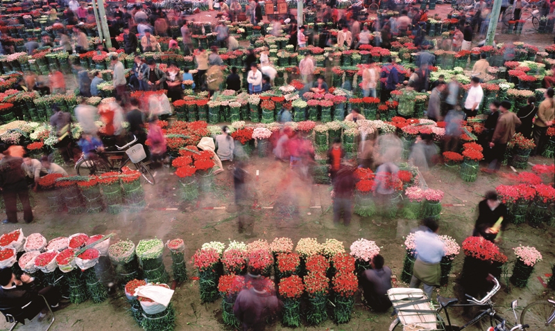 昆明斗南花市。鲜花经济带动云南种植、运输等行业从业人员100余万人。